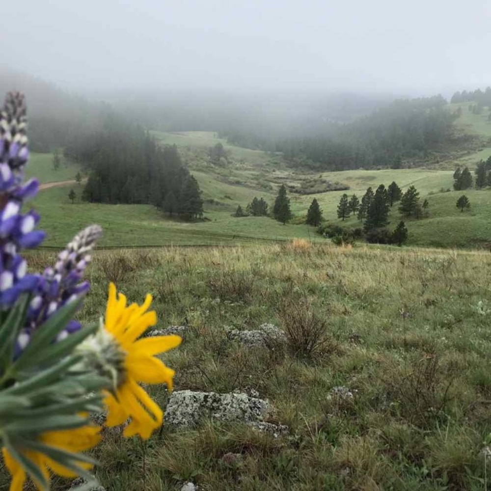 Meet your Posher, Tonya